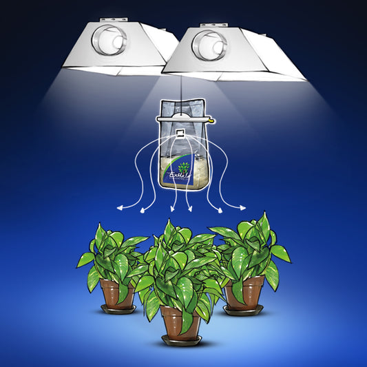 Illustration showing an ExHale XL CO2 bag hanging under indoor grow lights above potted plants, with white arrows depicting CO2 dispersal to the plants against a blue background.