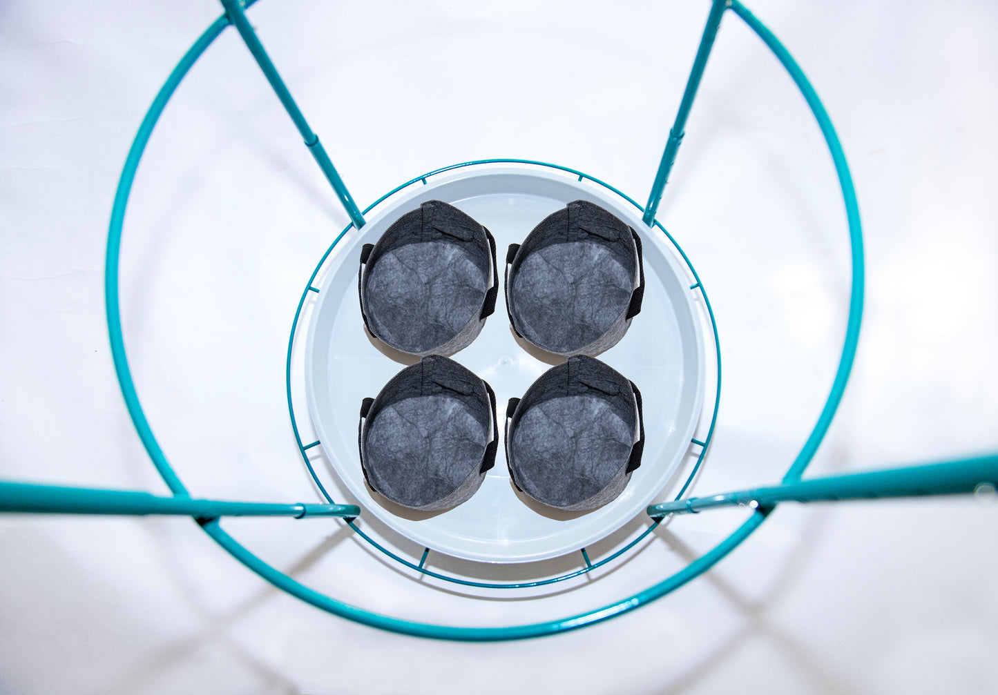 Top-down view of four 1-gallon fabric grow bags evenly spaced on the Bloom Carousel’s 22-inch rotating tray, framed by teal steel ring and uprights.