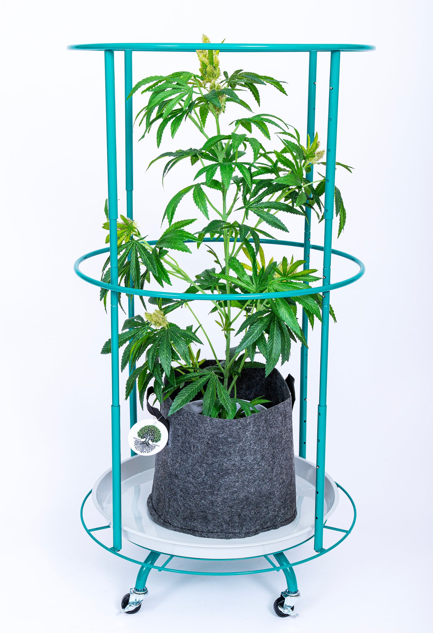 Bloom Carousel assembled with fabric grow bag on 22-inch rotating platform and adjustable steel frame
