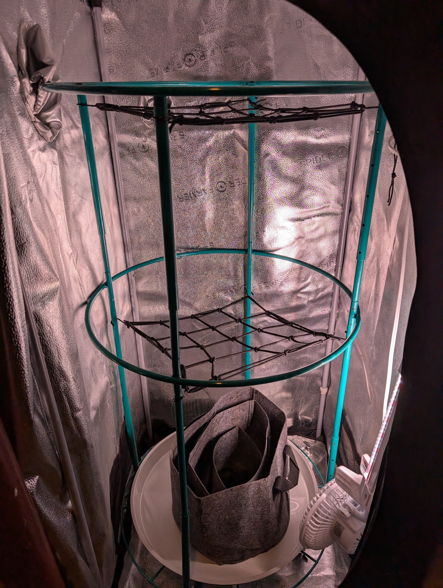Bloom Carousel inside a reflective grow tent with empty 22-inch rotating tray, lower trellis net installed and fabric grow bag nestled on the tray, showing spacious interior and adjustable frame.