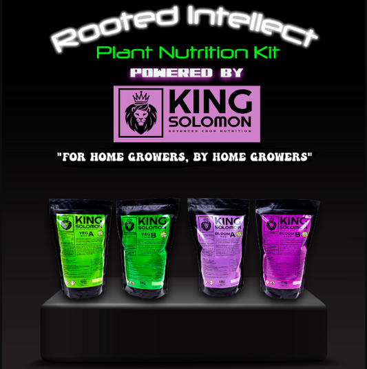 Graphic for Rooted Intellect Plant Nutrition Kit powered by King Solomon Nutrients, showing four stand-up pouches labeled Veg A, Veg B, Bloom A and Bloom B on a black pedestal with the tagline ‘For home growers, by home growers.’
