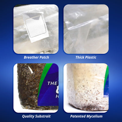 Collage highlighting components of the ExHale XL CO2 bag: breather patch, thick plastic bag, quality substrate, and patented mycelium, on a blue background with white labels.