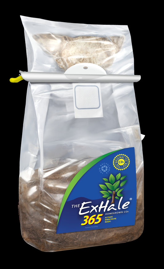 ExHale 365 CO2 Bag product photo showing sealed bag with blue and yellow 'ExHale 365' label on front, containing mycelium substrate and hanging from a white bar ready for activation.