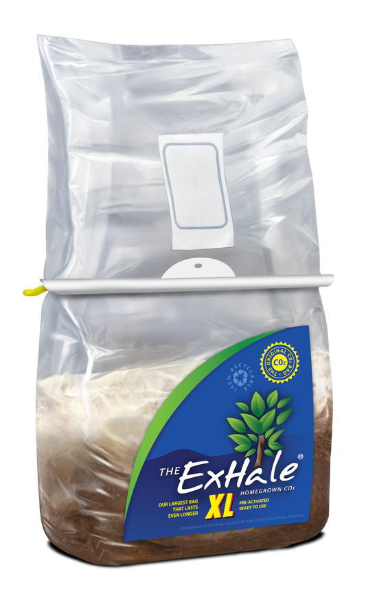 ExHale XL CO2 Bag product photo showing an oversized sealed bag with blue and yellow 'ExHale XL' label, containing mycelium substrate and hanging from a white bar for large grow spaces.