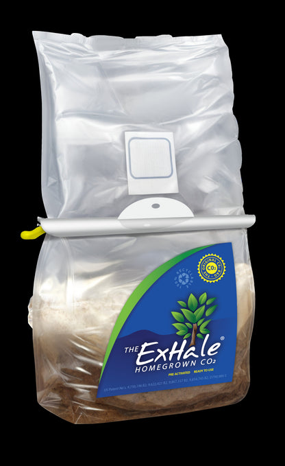 ExHale Original CO2 Bag product photo showing the sealed mushroom bag with green ExHale logo label, hanging from a white hanger, containing mycelium substrate for natural CO2 release.