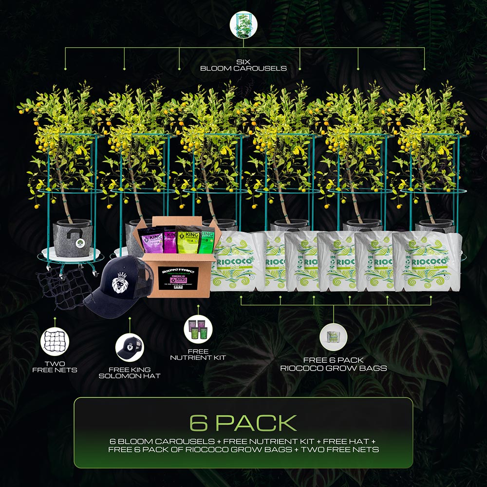 Master Grower System (6 pack)