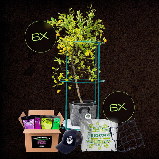 Master Grower System (6 pack)