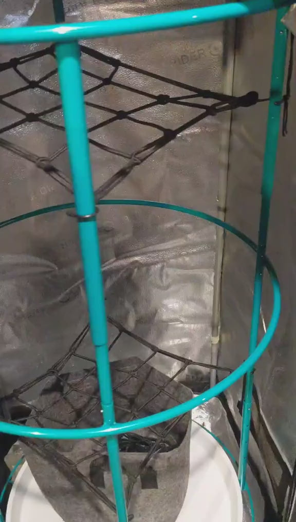 Video demonstration showing the Bloom Carousel rotating inside a grow tent, highlighting the adjustable trellis levels and smooth-turning 22‑inch base.