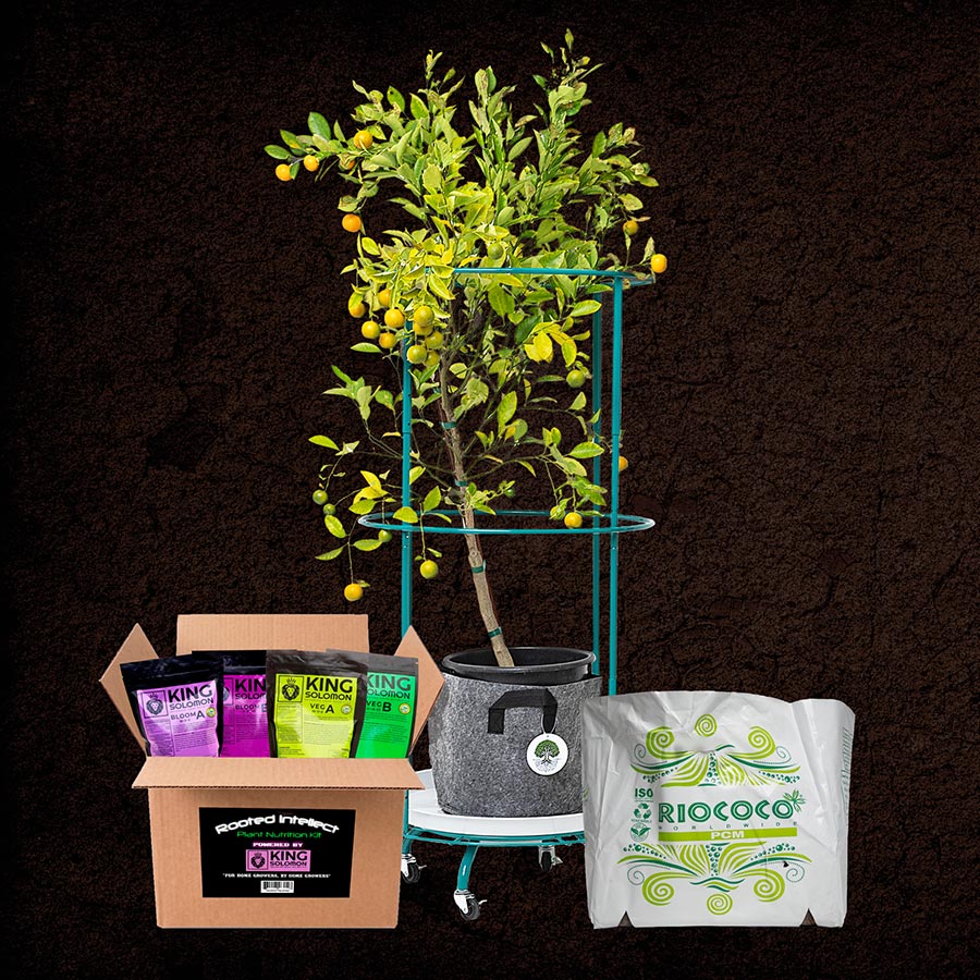 Complete Grow System Bundle