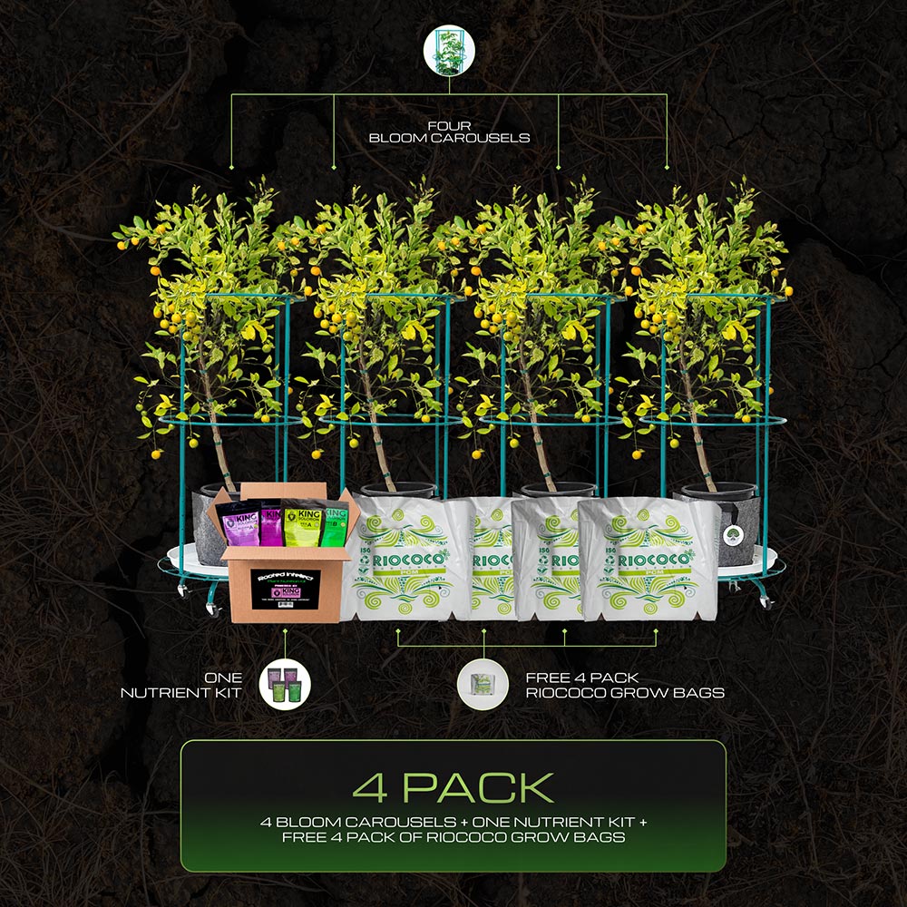 4x4 Tent System