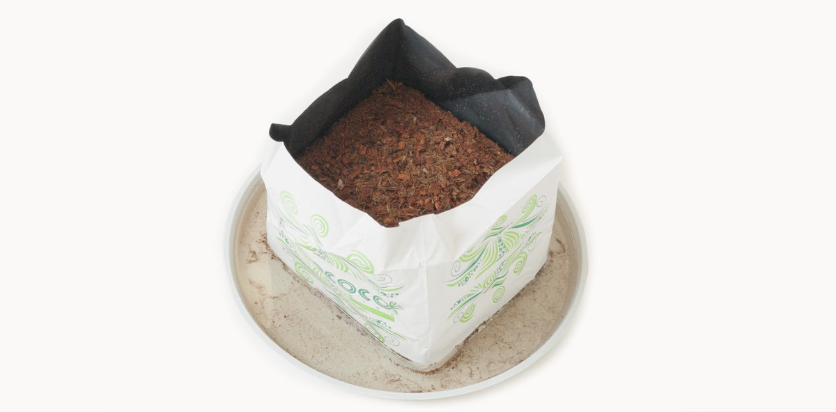 RIOCOCO 5 Gallon Open Top Grow Bag (6 Pack)